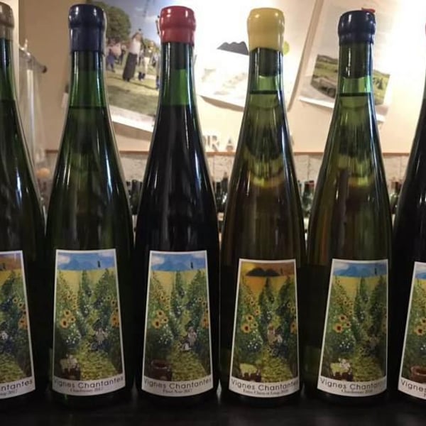 Miyamoto Vineyard - Ryohei Miyamoto