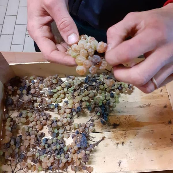 Saccomani Giuseppe, Luca e Claudia