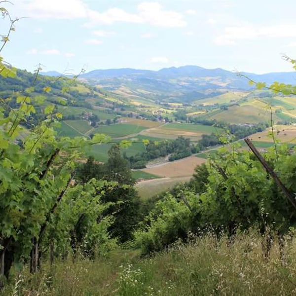 Saccomani Giuseppe, Luca e Claudia