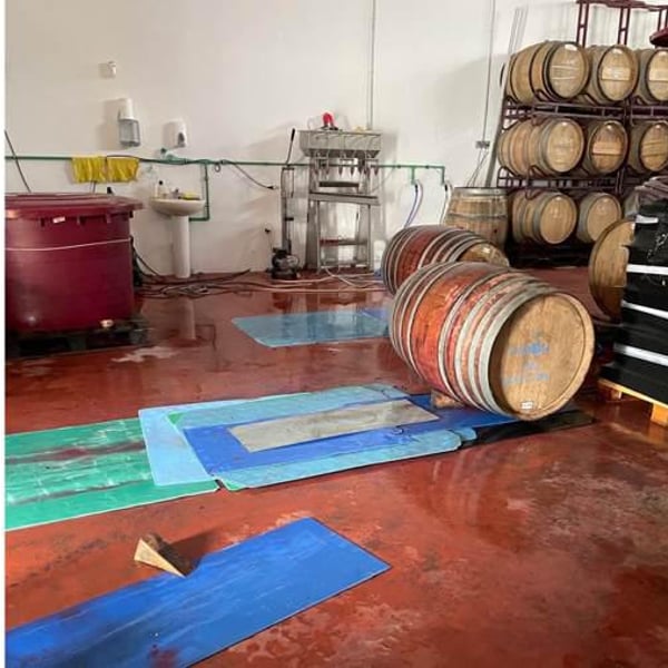 Bodega Viñeron S.L. - Samuel Párraga