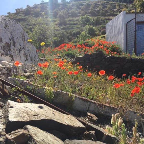 Bodega Viñeron S.L. - Samuel Párraga