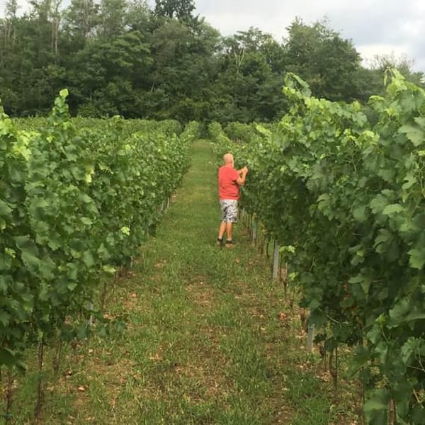 Santei Biodynamic Wines - Matej Bizjak & family