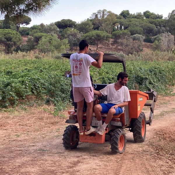 La Natural - Sara & Rafa Camps