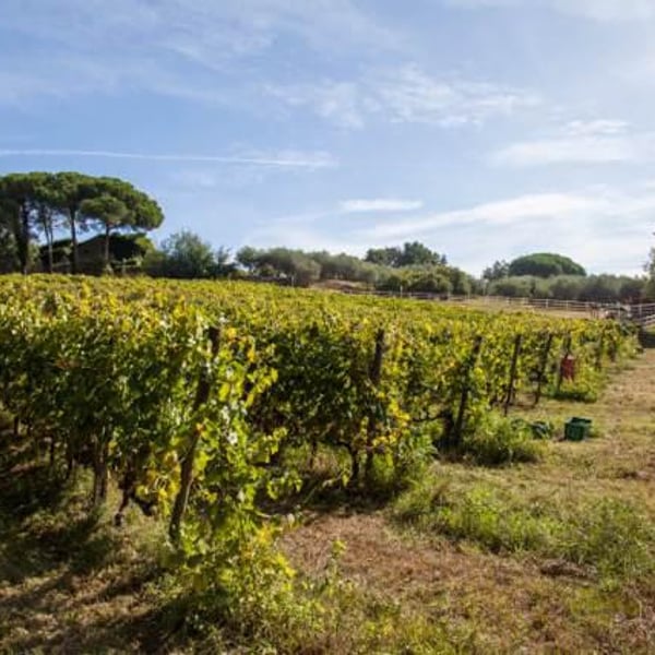 Azienda Agricola Malgiacca - Saverio Petrilli, Lisandro Carmazzi, Luigi Fenoglio, Sarah Richards & Ettore Petrilli