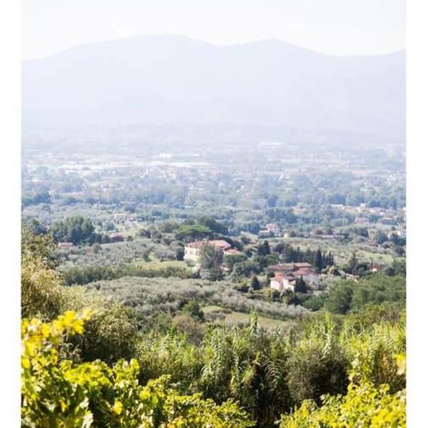 Azienda Agricola Malgiacca - Saverio Petrilli, Lisandro Carmazzi, Luigi Fenoglio, Sarah Richards & Ettore Petrilli