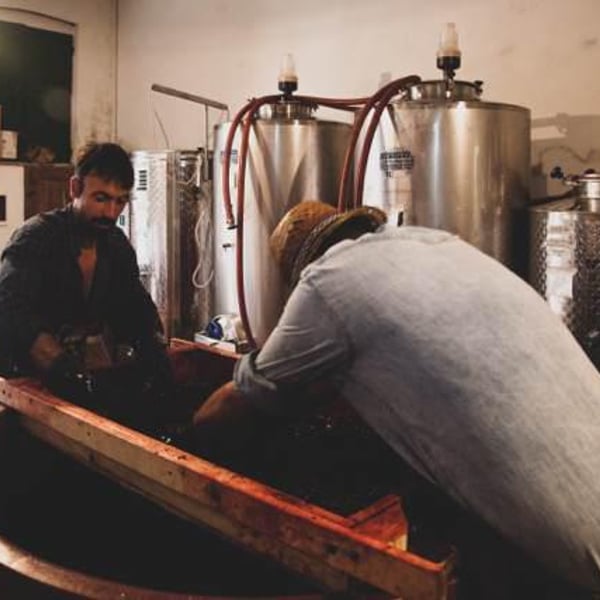 Azienda Agricola Malgiacca - Saverio Petrilli, Lisandro Carmazzi, Luigi Fenoglio, Sarah Richards & Ettore Petrilli