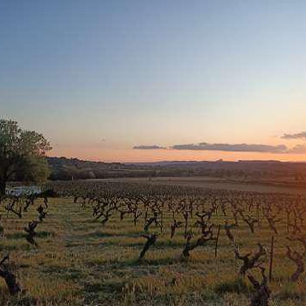 Vin de Famille Scarlata - Famille Scarlata