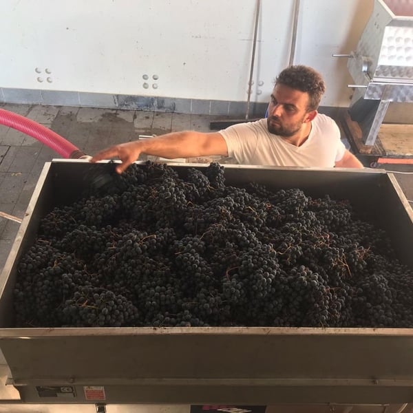 Tenuta La Fiaminga - Sebastian Van De Sype