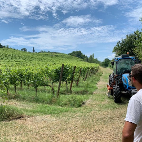Tenuta La Fiaminga - Sebastian Van De Sype