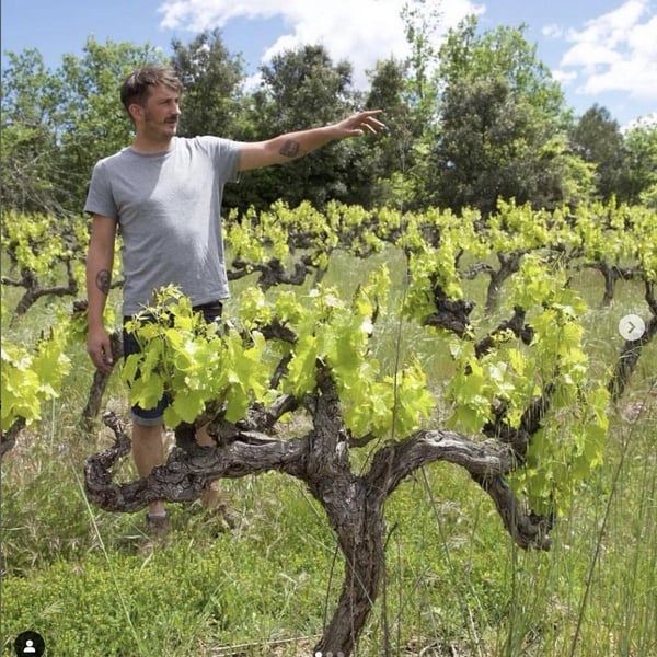 Ad Vinum - Sébastien Chatillon