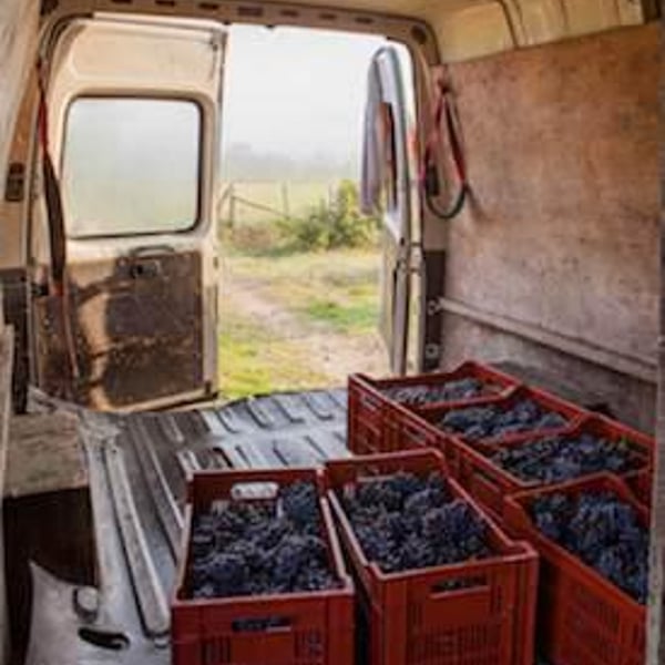 Domaine de la Roche Bleue - Sébastien Cornille
