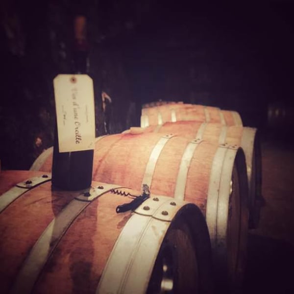 Domaine Sébastien David - Sébastien David