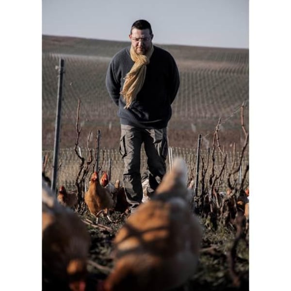Champagne Mouzon Leroux - Sébastien Mouzon