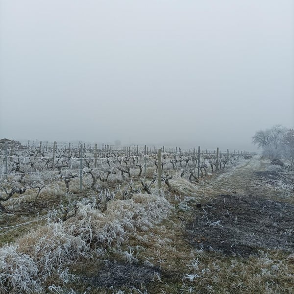 Le Petit Domaine d'Echiat - Serge Gayet