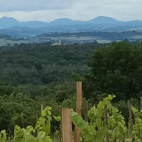Le Petit Domaine d'Echiat - Serge Gayet