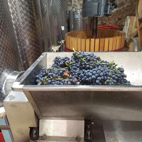 Celler Ca Foracaime - Sergi Serrano