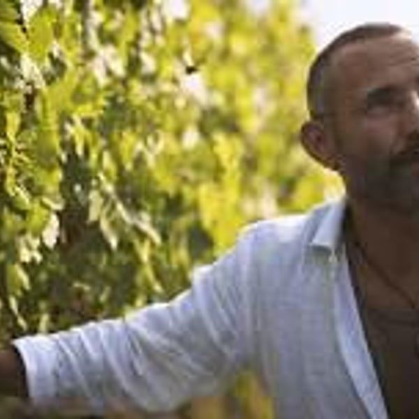 Azienda Vinicola Falzari - Sergio Falzari