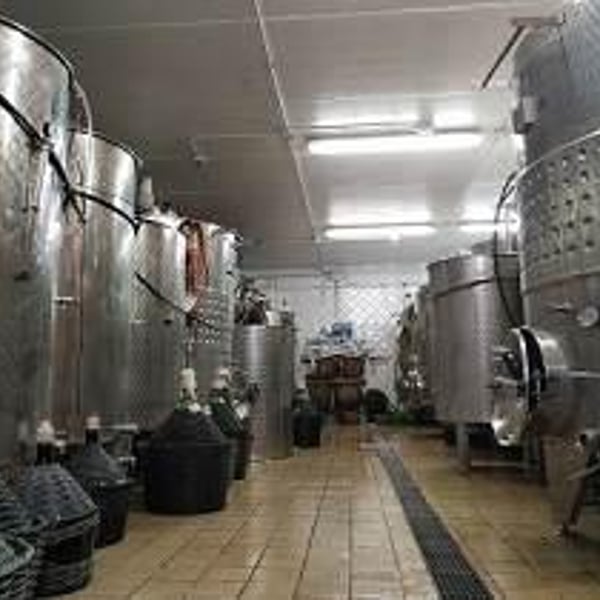 Azienda Vinicola Falzari - Sergio Falzari