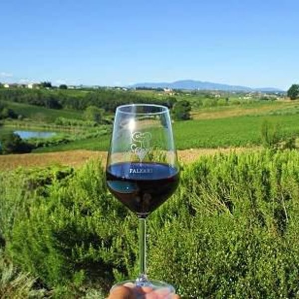 Azienda Vinicola Falzari - Sergio Falzari