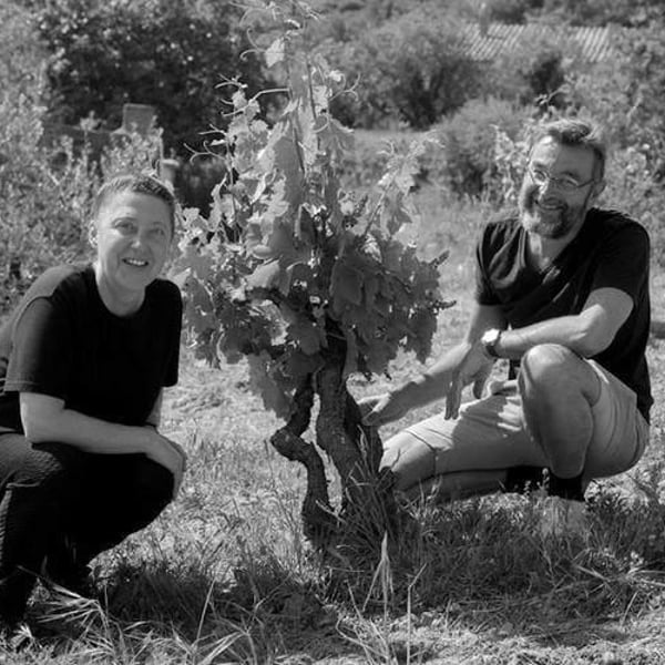 Domaine Grand Guilhem - Séverine et Gilles Contrepois