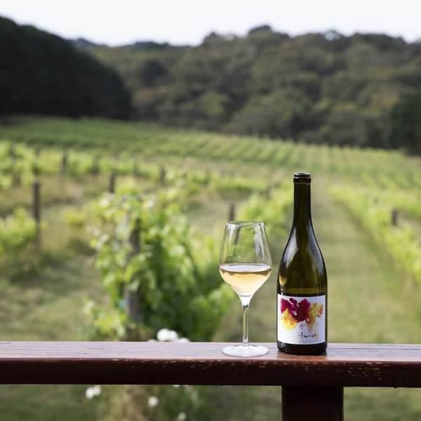 Avani Winery - Shashi & Devendra Singh