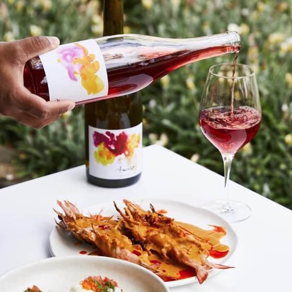 Avani Winery - Shashi & Devendra Singh