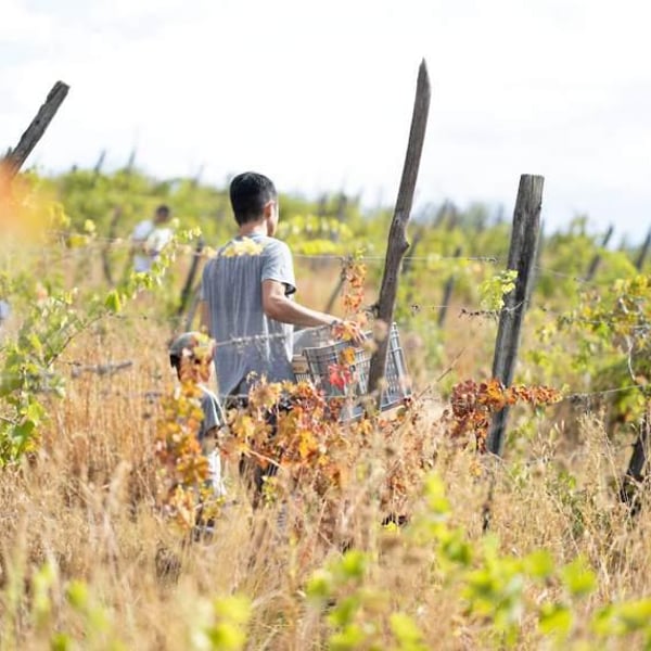 Shun Minowa - Shun Minowa