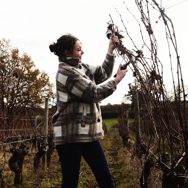 Domaine de Trivel - Sidonie Joggerst & Thomas Guillon
