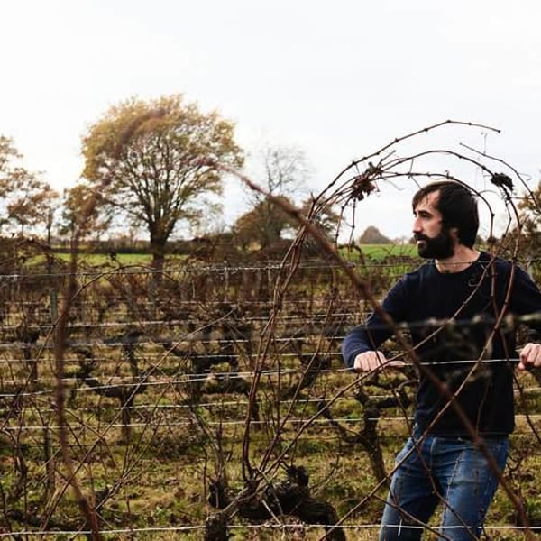 Domaine de Trivel - Sidonie Joggerst & Thomas Guillon