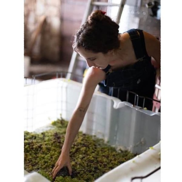 Vinos Pijoan - Silvana Pijoan