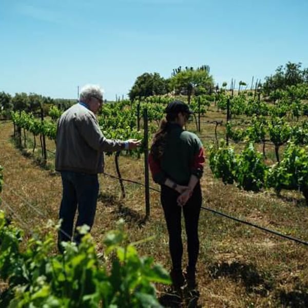 Vinos Pijoan - Silvana Pijoan