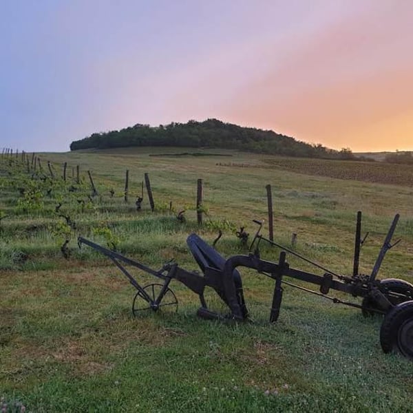 Domaine Des Canailles - Simon Perot