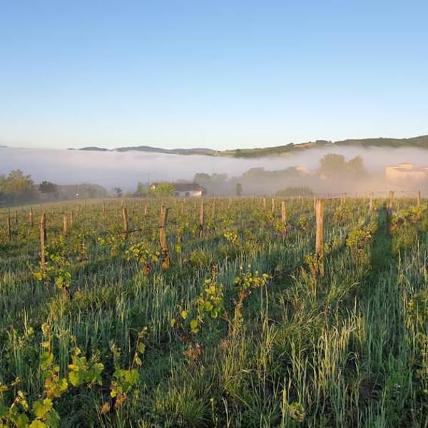 Domaine Des Canailles - Simon Perot