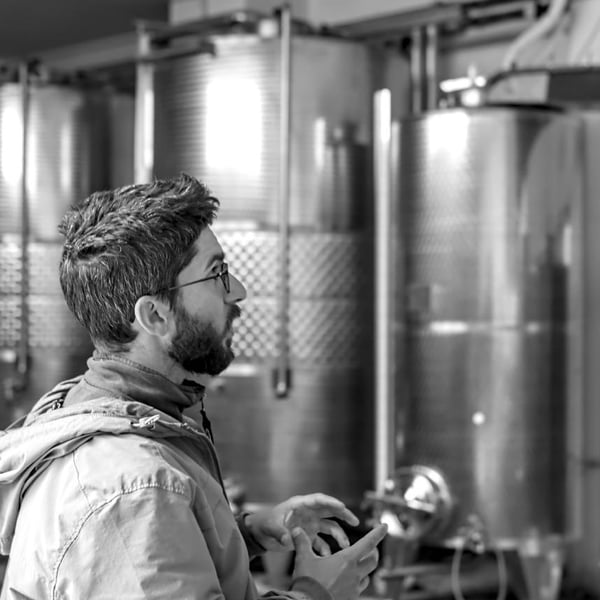 Cantina Simone Giacomo - Giacomo Simone