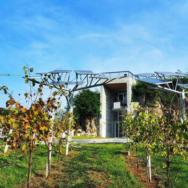 Cantina Simone Giacomo - Giacomo Simone