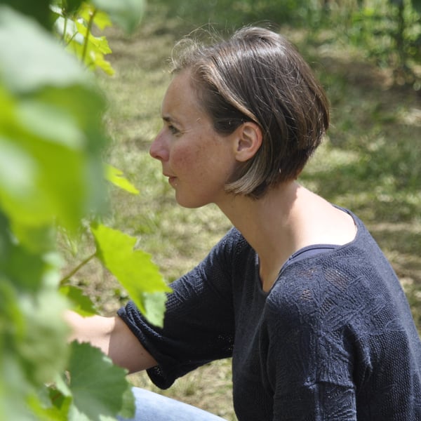 Domaine W - Sophie Et Dimitri