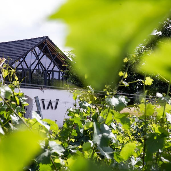 Domaine W - Sophie Et Dimitri
