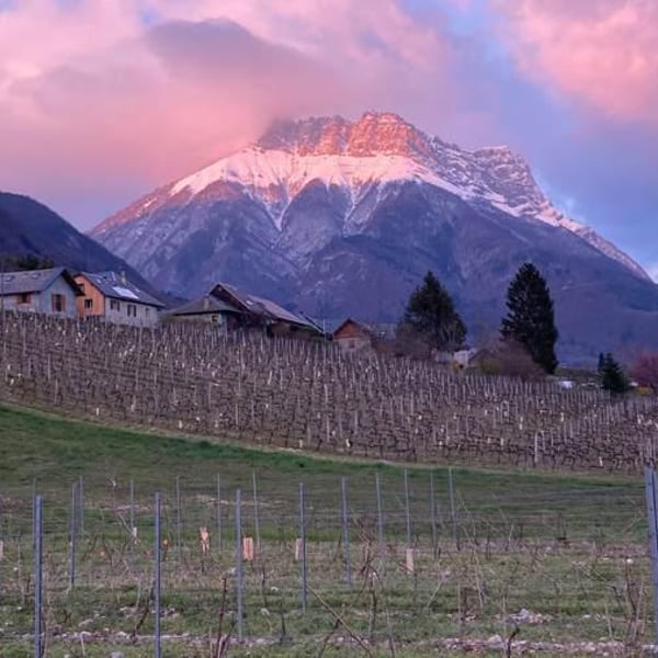 Domaine des Arlicots - Chai des Cascades - Sophie & Fabien Grelon