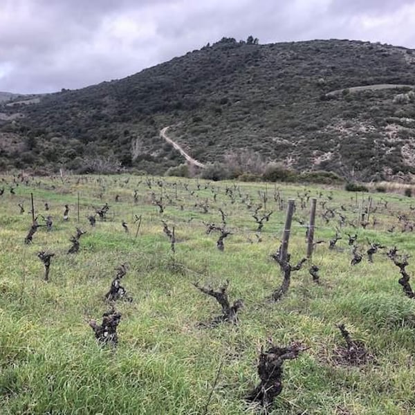 Clos Présent - Sophie Héraud
