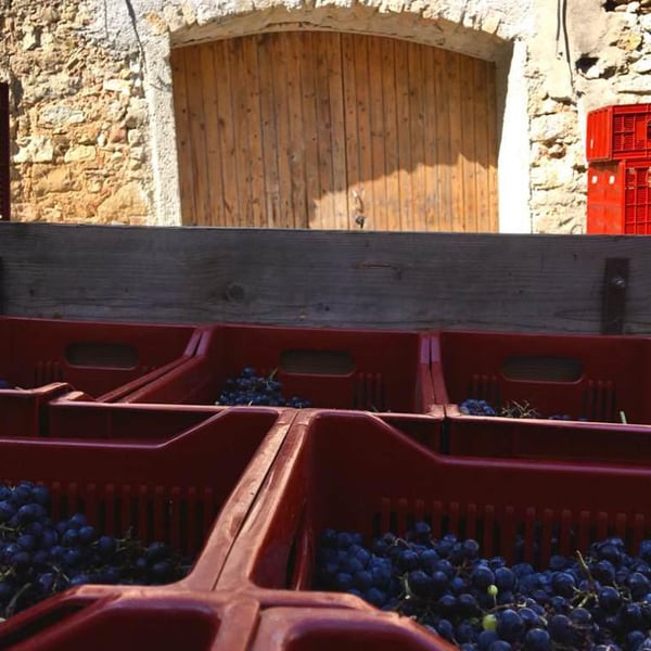 Clos Présent - Sophie Héraud