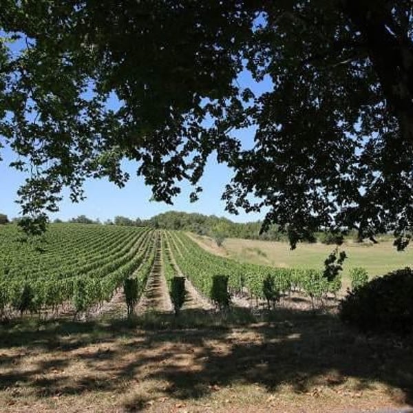 Sophie & Julien Ilbert