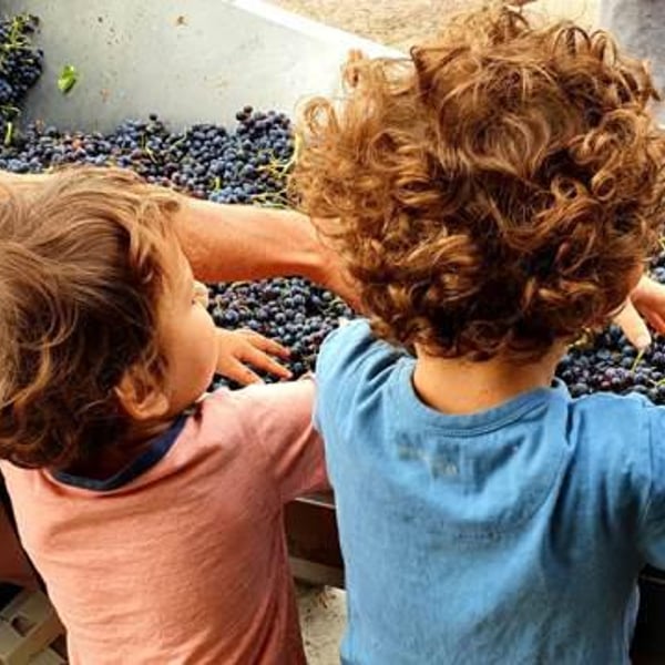 La Ferme Saint-Martin - Les Vins de Thomas - Sophie & Thomas Jullien