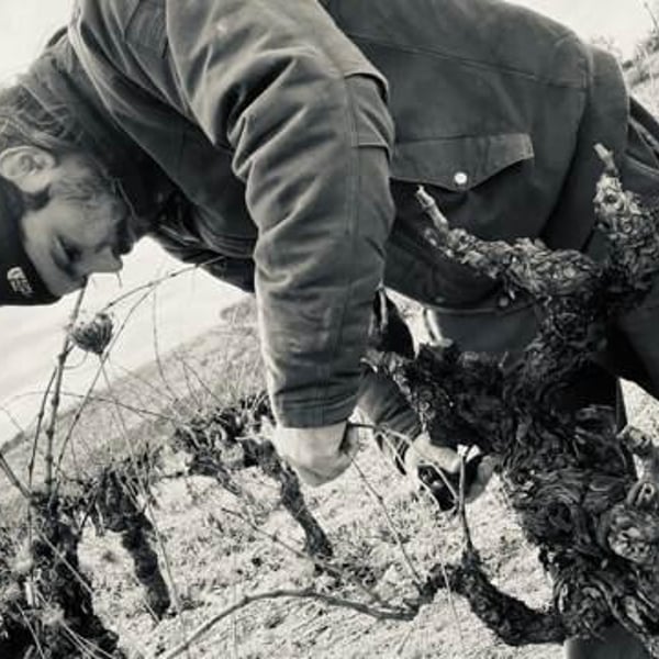 Les Vins De Mont-Val - Sophie Valançant & Jean-Yves Domont