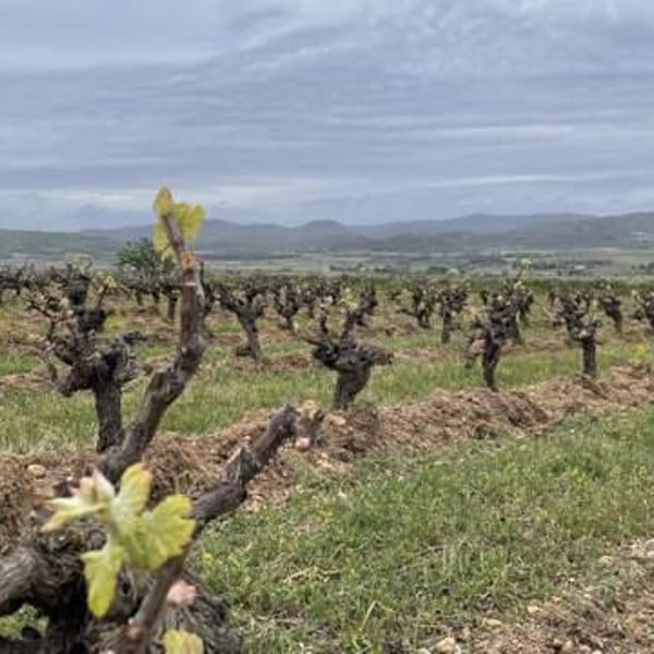 Les Vins De Mont-Val - Sophie Valançant & Jean-Yves Domont