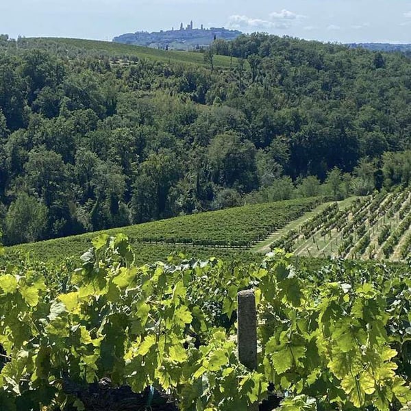 I Mattaioni - Stefan Goldmann, Matteo Niccolai