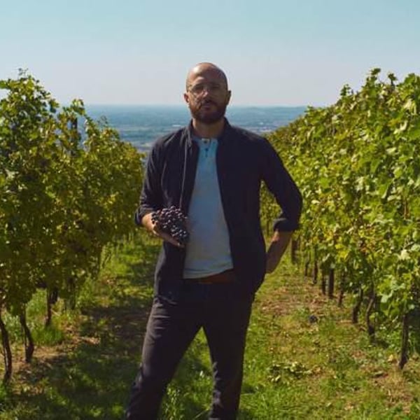 Società Agricola Il Sasso - Stefano Bellamoli