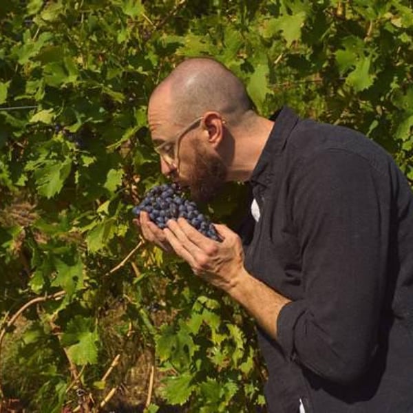 Società Agricola Il Sasso - Stefano Bellamoli