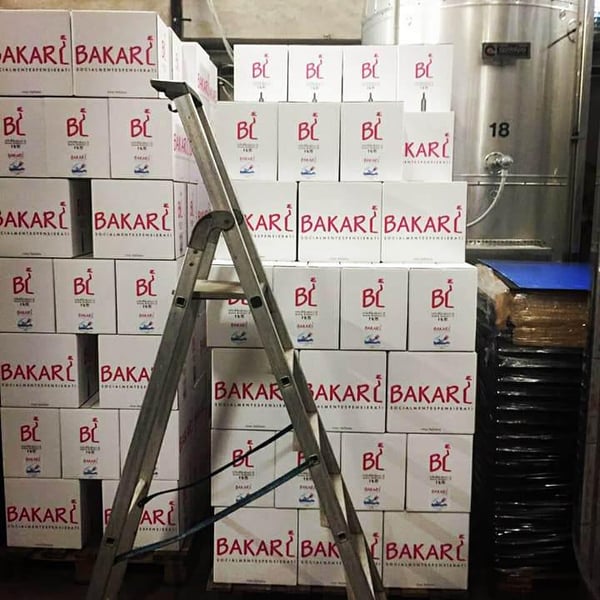 Bakari - Stefano Menti