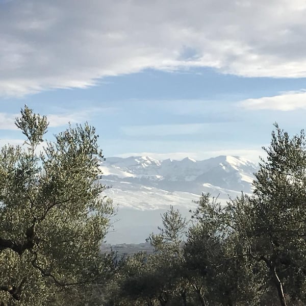 Azienda Agricola De Fermo - Stefano Papetti & Eloisa De Fermo