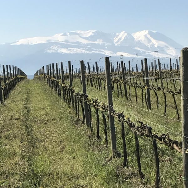 Azienda Agricola De Fermo - Stefano Papetti & Eloisa De Fermo